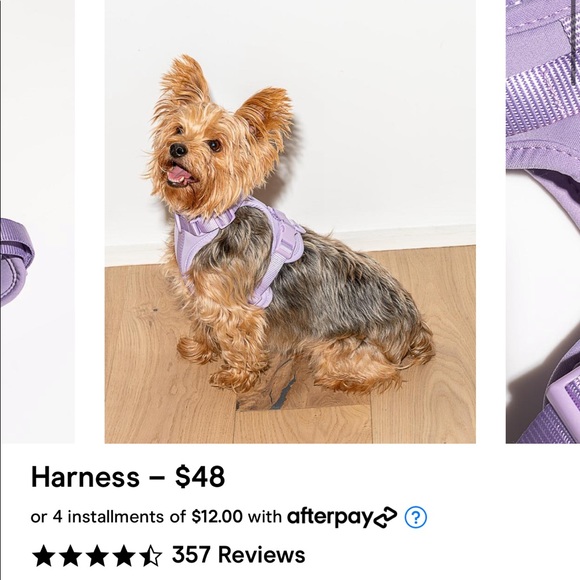 dog harness afterpay